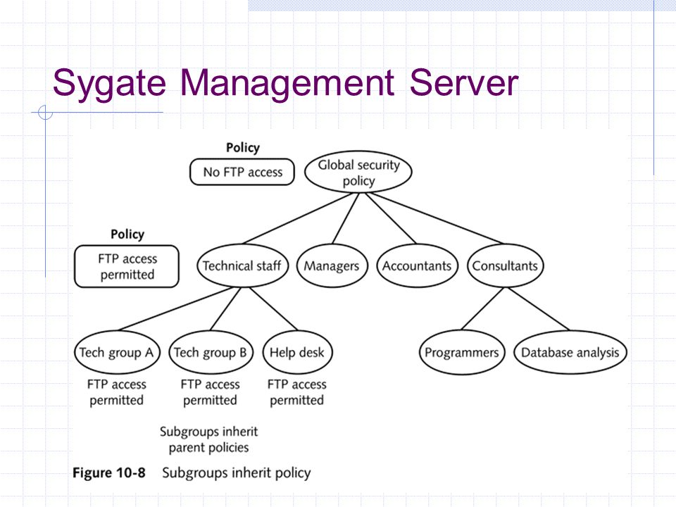 Sygate Management Server