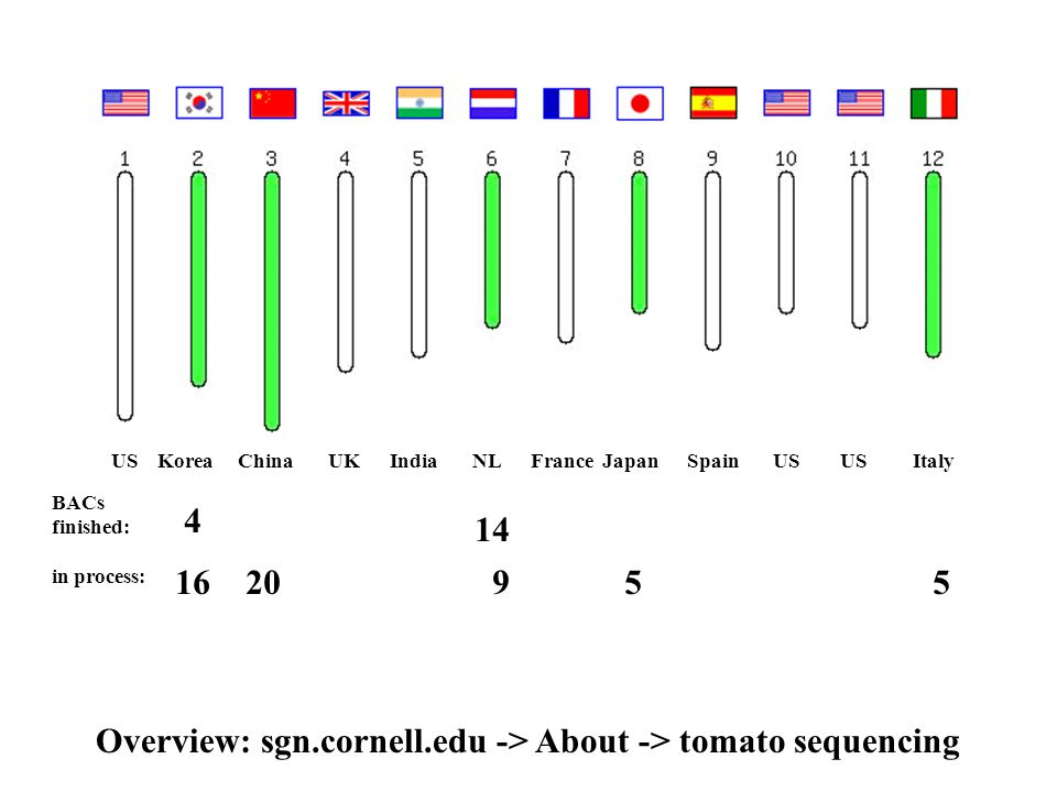 20 14 US Korea China UK India NL France Japan Spain US US Italy BACs finished: in process: Overview: sgn.cornell.edu -> About -> tomato sequencing