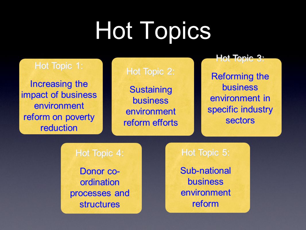 Hot Topics Hot Topic 1: Increasing the impact of business environment reform on poverty reduction Hot Topic 2: Sustaining business environment reform efforts Hot Topic 3: Reforming the business environment in specific industry sectors Hot Topic 4: Donor co- ordination processes and structures Hot Topic 5: Sub-national business environment reform