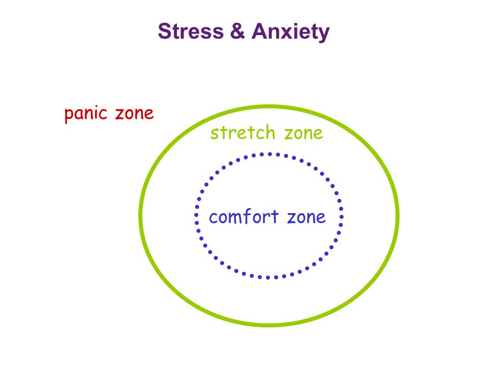 Blue Cow S Guide To Revision Welcome Brain And Exercise Stress And