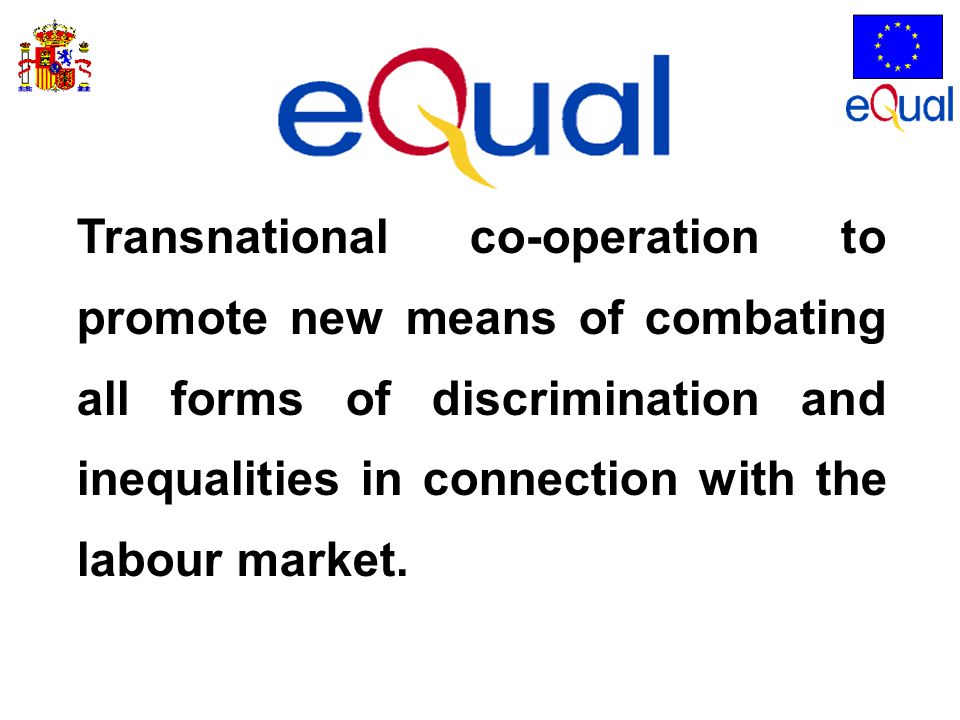 Transnational co-operation to promote new means of combating all forms of discrimination and inequalities in connection with the labour market.