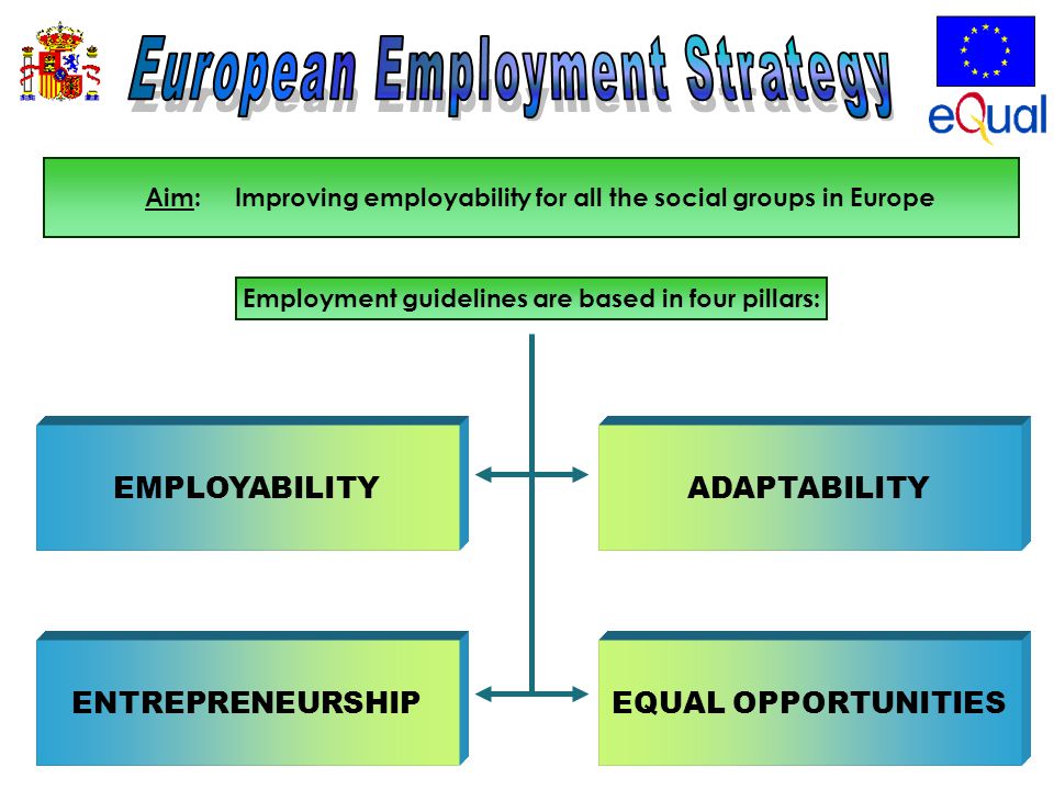 EMPLOYABILITY ENTREPRENEURSHIP ADAPTABILITY EQUAL OPPORTUNITIES Aim: Improving employability for all the social groups in Europe Employment guidelines are based in four pillars: