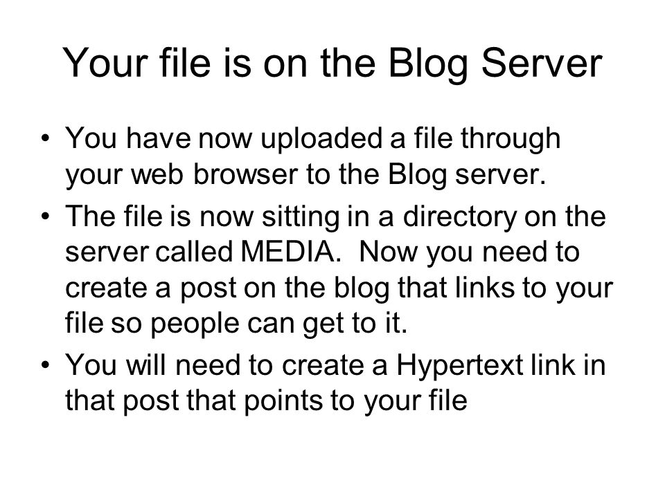 Your file is on the Blog Server You have now uploaded a file through your web browser to the Blog server.