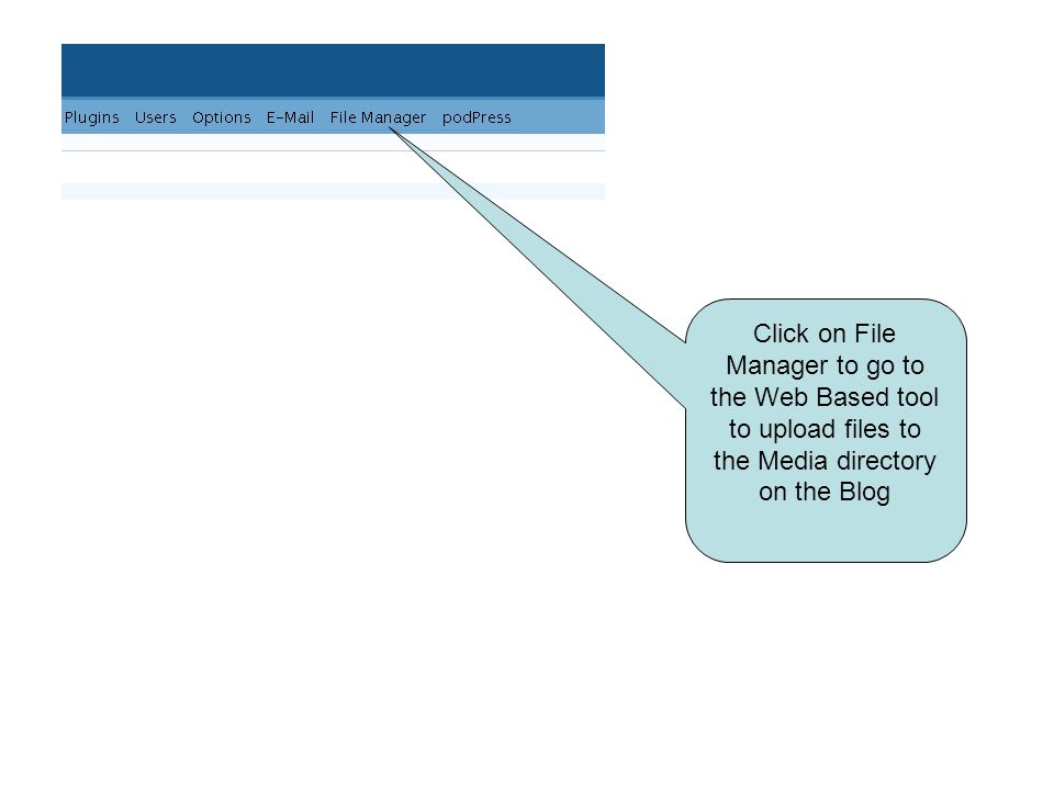 Click on File Manager to go to the Web Based tool to upload files to the Media directory on the Blog