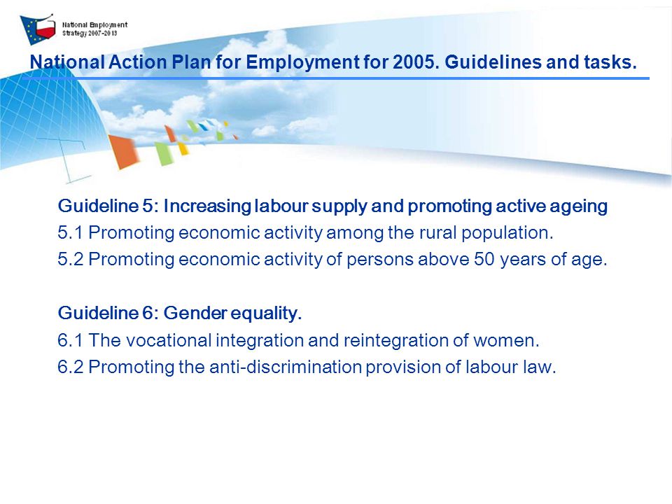 National Action Plan for Employment for Guidelines and tasks.