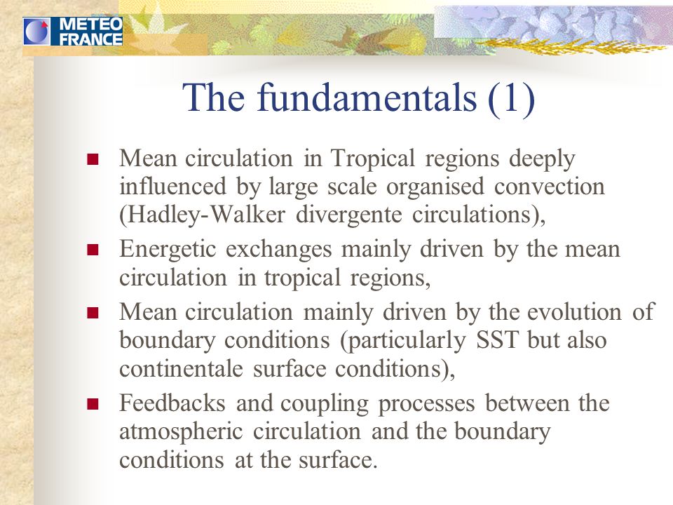 The fundamentals (1) Mean circulation in Tropical regions deeply influenced by large scale organised convection (Hadley-Walker divergente circulations), Energetic exchanges mainly driven by the mean circulation in tropical regions, Mean circulation mainly driven by the evolution of boundary conditions (particularly SST but also continentale surface conditions), Feedbacks and coupling processes between the atmospheric circulation and the boundary conditions at the surface.