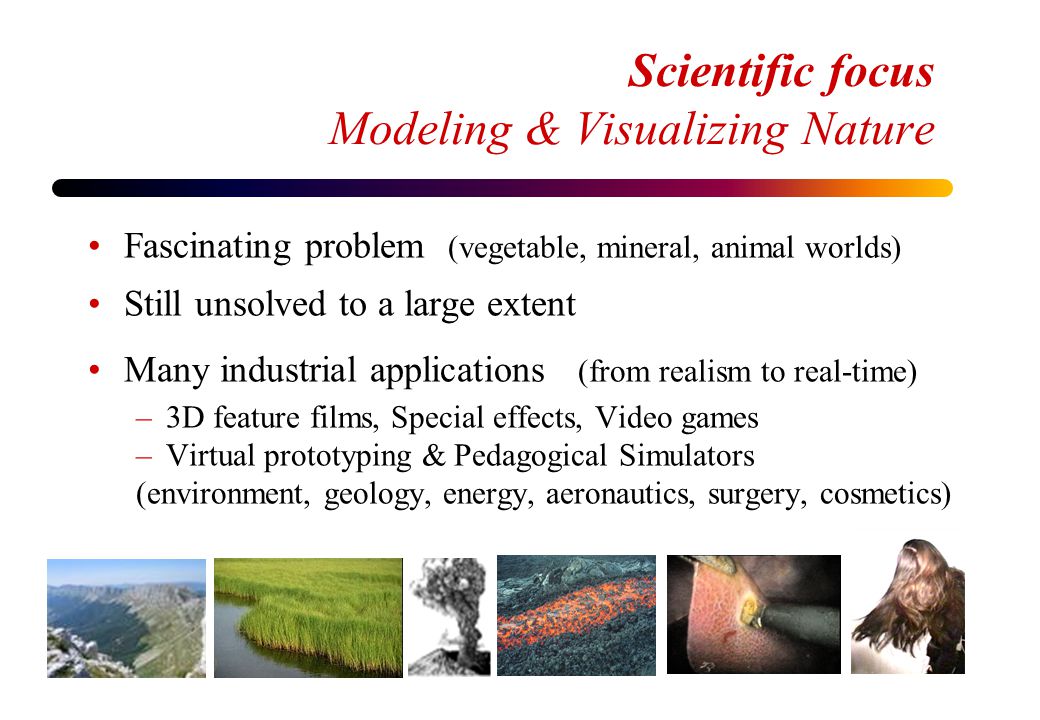 Scientific focus Modeling & Visualizing Nature Fascinating problem (vegetable, mineral, animal worlds) Still unsolved to a large extent Many industrial applications (from realism to real-time) –3D feature films, Special effects, Video games –Virtual prototyping & Pedagogical Simulators (environment, geology, energy, aeronautics, surgery, cosmetics)
