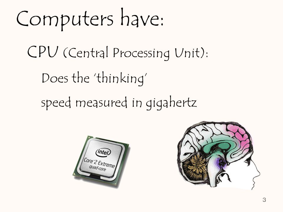 CPU (Central Processing Unit): Does the ‘thinking’ speed measured in gigahertz 3 Computers have:
