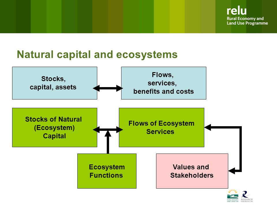 Natural capital and ecosystems Stocks, capital, assets Flows, services, benefits and costs Flows of Ecosystem Services Stocks of Natural (Ecosystem) Capital Ecosystem Functions Values and Stakeholders