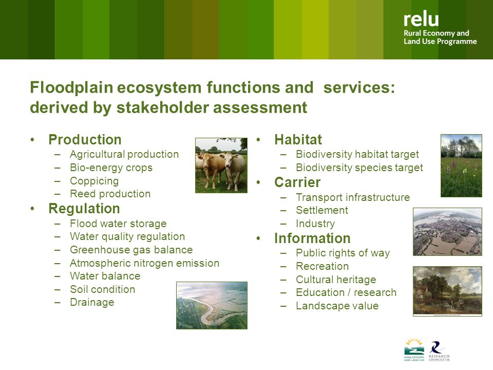 Floodplain ecosystem functions and services: derived by stakeholder assessment Production –Agricultural production –Bio-energy crops –Coppicing –Reed production Regulation –Flood water storage –Water quality regulation –Greenhouse gas balance –Atmospheric nitrogen emission –Water balance –Soil condition –Drainage Habitat –Biodiversity habitat target –Biodiversity species target Carrier –Transport infrastructure –Settlement –Industry Information –Public rights of way –Recreation –Cultural heritage –Education / research –Landscape value