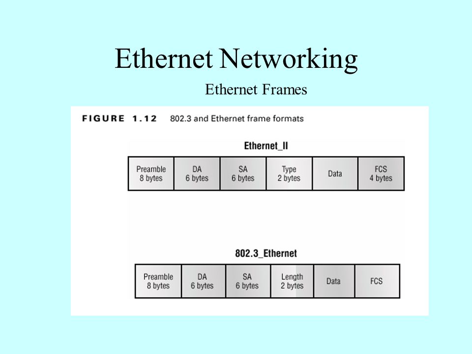 Ethernet Frames