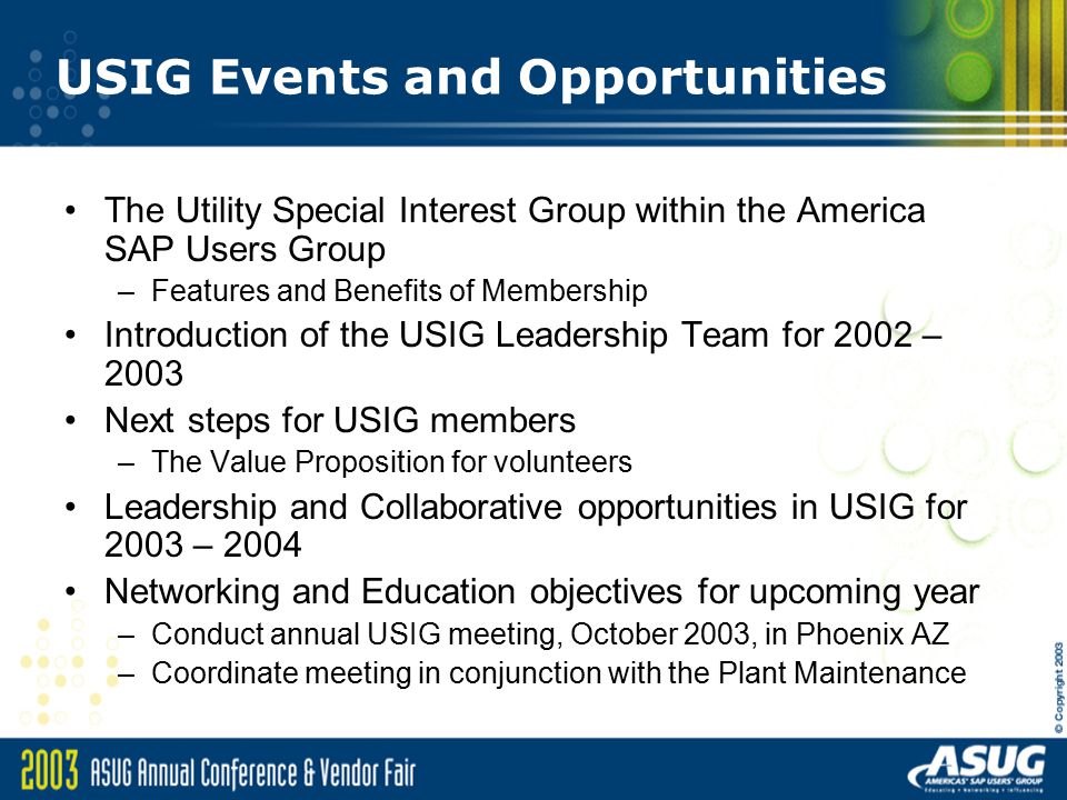 Group Meeting for the Utility Industry: Networking and Upcoming Events after the ASUG Annual Conference