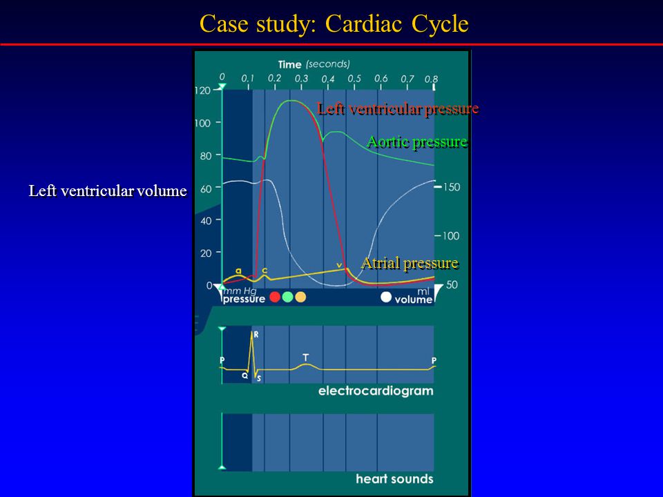 Case study: Cardiac Cycle Aortic pressure Atrial pressure Left ventricular volume Left ventricular pressure