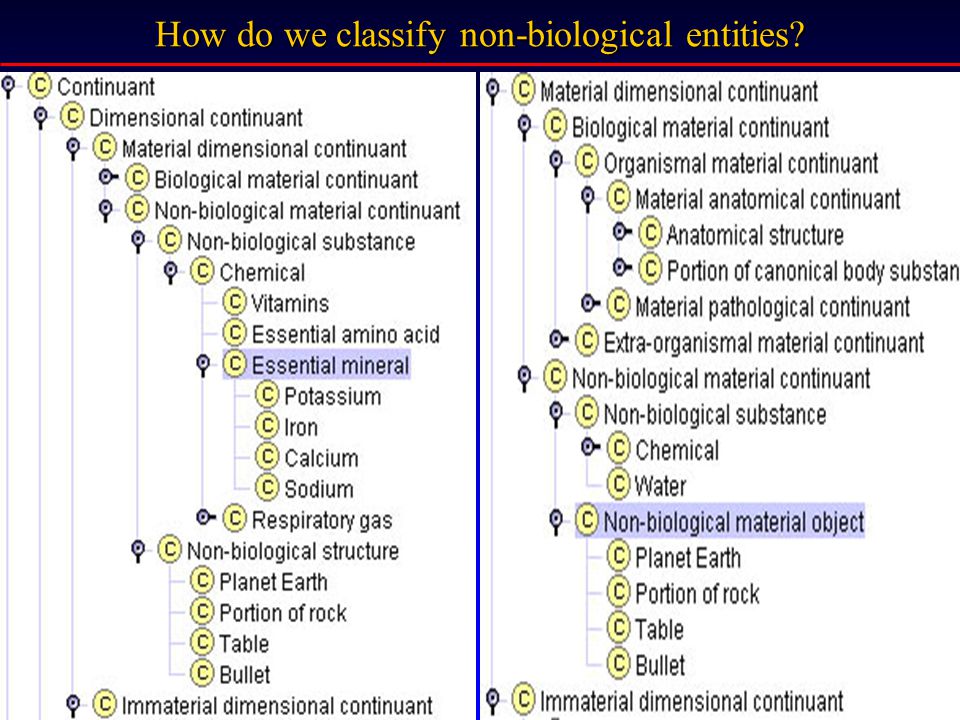 How do we classify non-biological entities