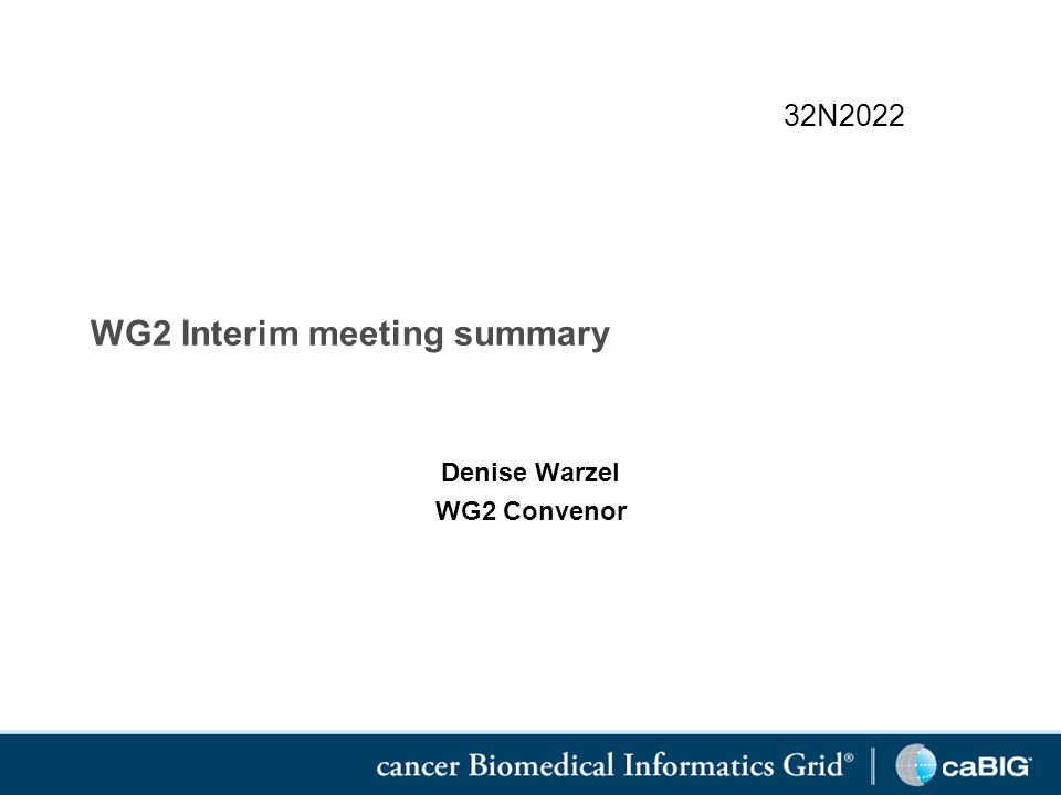 WG2 Interim meeting summary Denise Warzel WG2 Convenor 32N2022