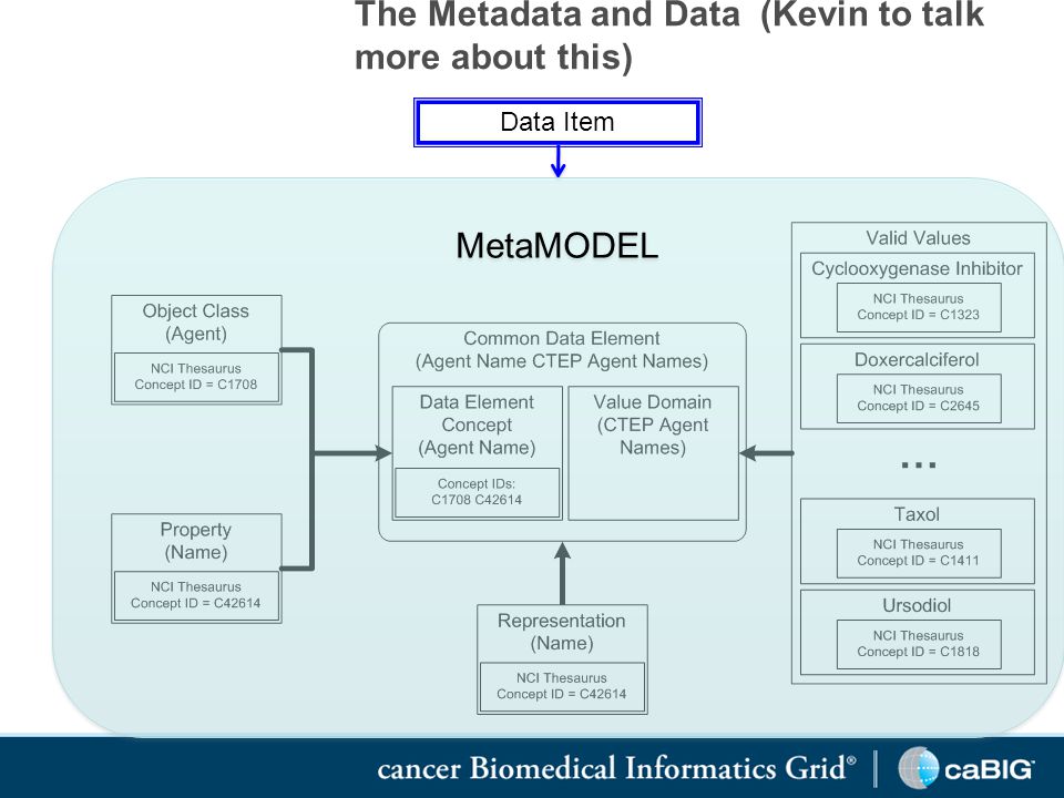 The Metadata and Data (Kevin to talk more about this) Data Item MetaMODEL