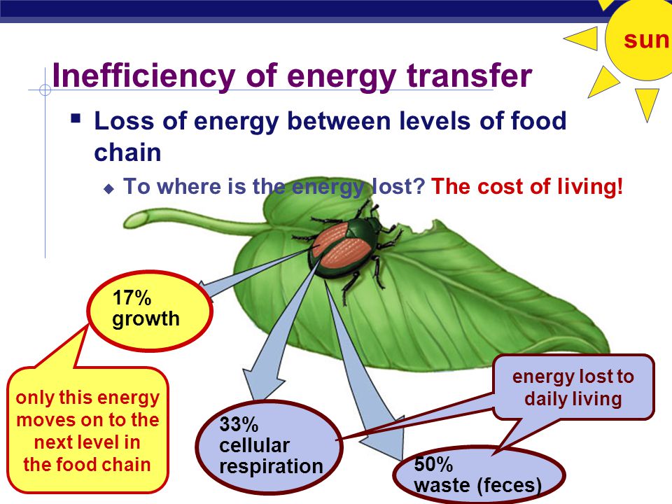 AP Biology  Trophic levels  feeding relationships  start with energy from the sun  captured by plants  1 st level of all food chains  food chains usually go up only 4 or 5 levels  inefficiency of energy transfer  all levels connect to decomposers Food chains Fungi Level 4 Level 3 Level 2 Level 1 Decomposers Producer Primary consumer Secondary consumer Tertiary consumer top carnivore carnivore herbivore Bacteria autotrophs heterotrophs sun