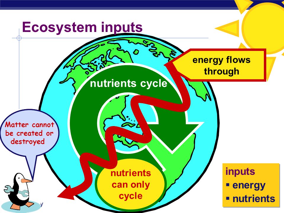 AP Biology Ecosystem  All the organisms in a community plus abiotic factors  ecosystems are transform energy & recycle matter  Ecosystems are self-sustaining  what is needed.