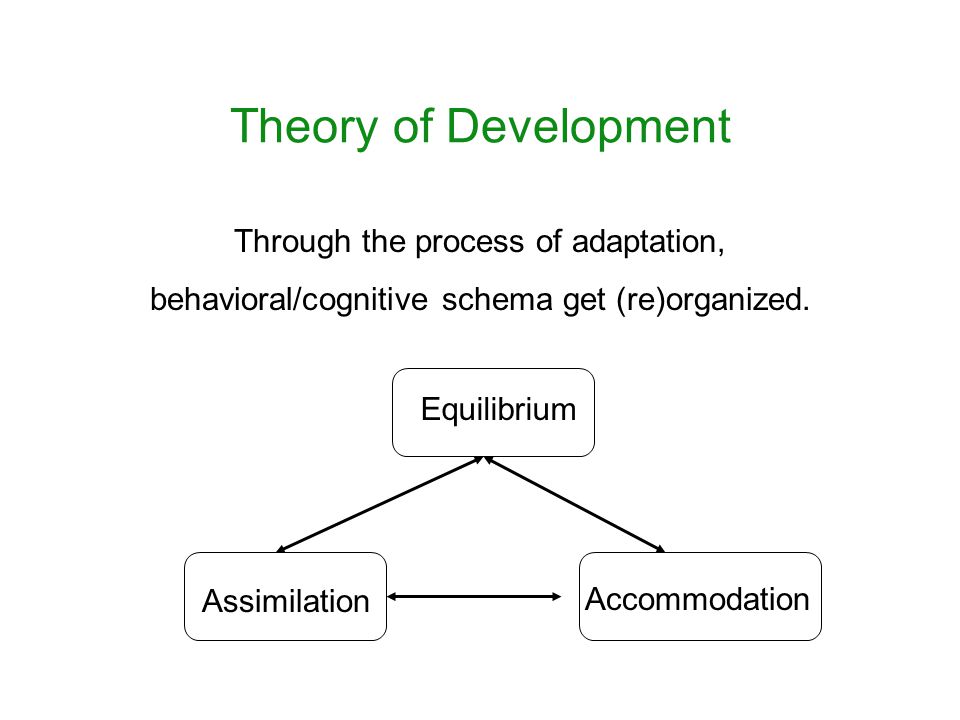 Theory of Development Accommodation Equilibrium Assimilation Through the process of adaptation, behavioral/cognitive schema get (re)organized.