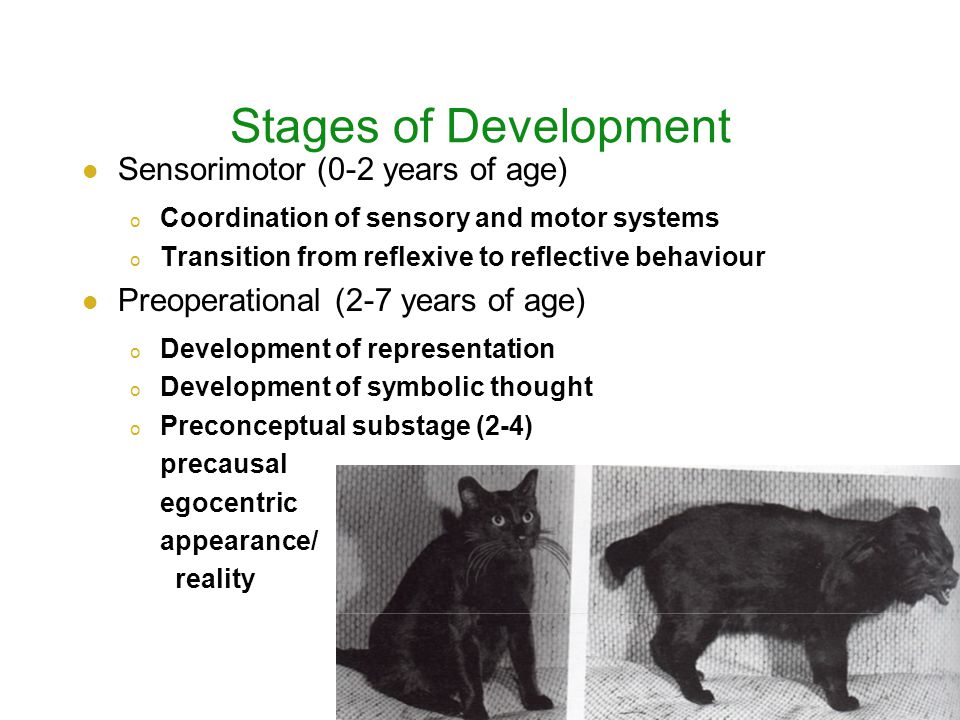 Stages of Development Sensorimotor (0-2 years of age) o Coordination of sensory and motor systems o Transition from reflexive to reflective behaviour Preoperational (2-7 years of age) o Development of representation o Development of symbolic thought o Preconceptual substage (2-4) precausal egocentric appearance/ reality