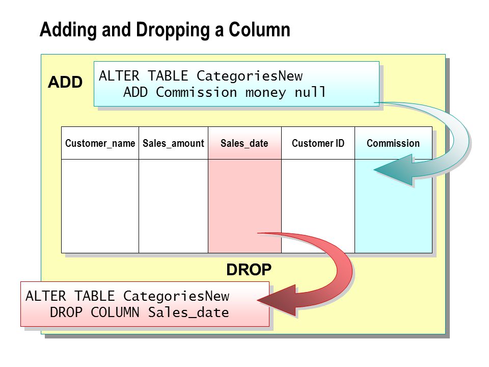 Adding and Dropping a Column ALTER TABLE CategoriesNew ADD Commission money null ADD ALTER TABLE CategoriesNew DROP COLUMN Sales_date DROP Customer_name Sales_amount Sales_date Customer ID Commission