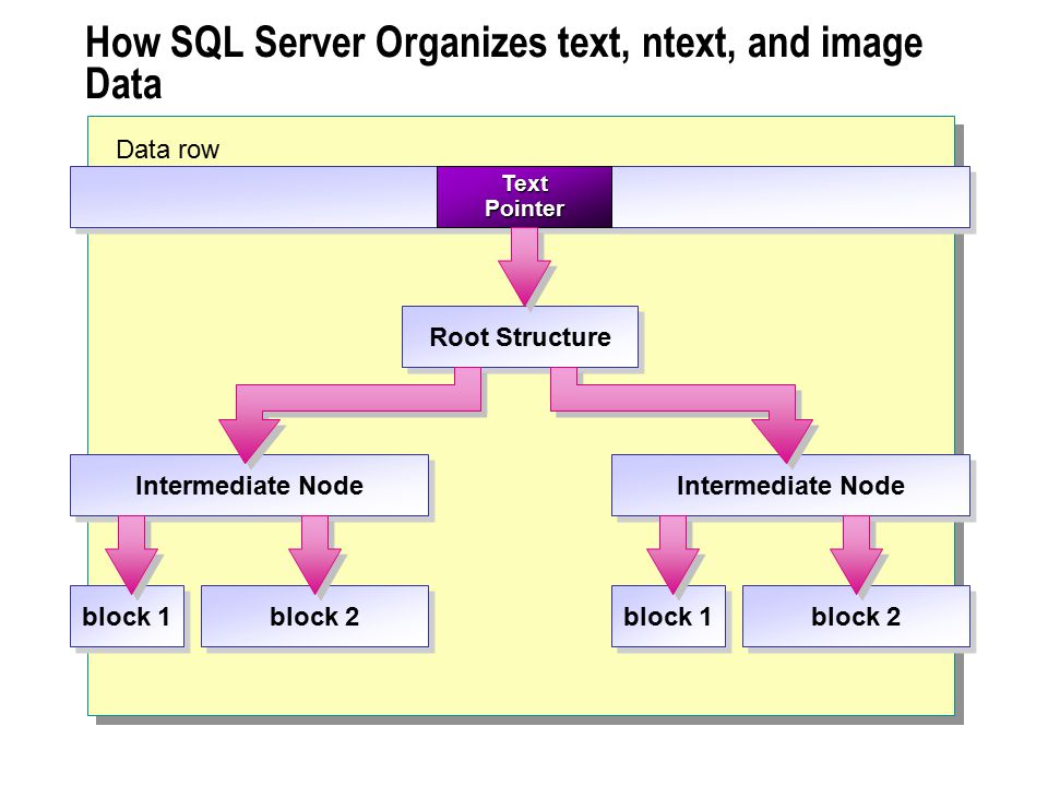 How SQL Server Organizes text, ntext, and image Data Data row TextPointer Root Structure Intermediate Node block 1 block 2 block 1 block 2