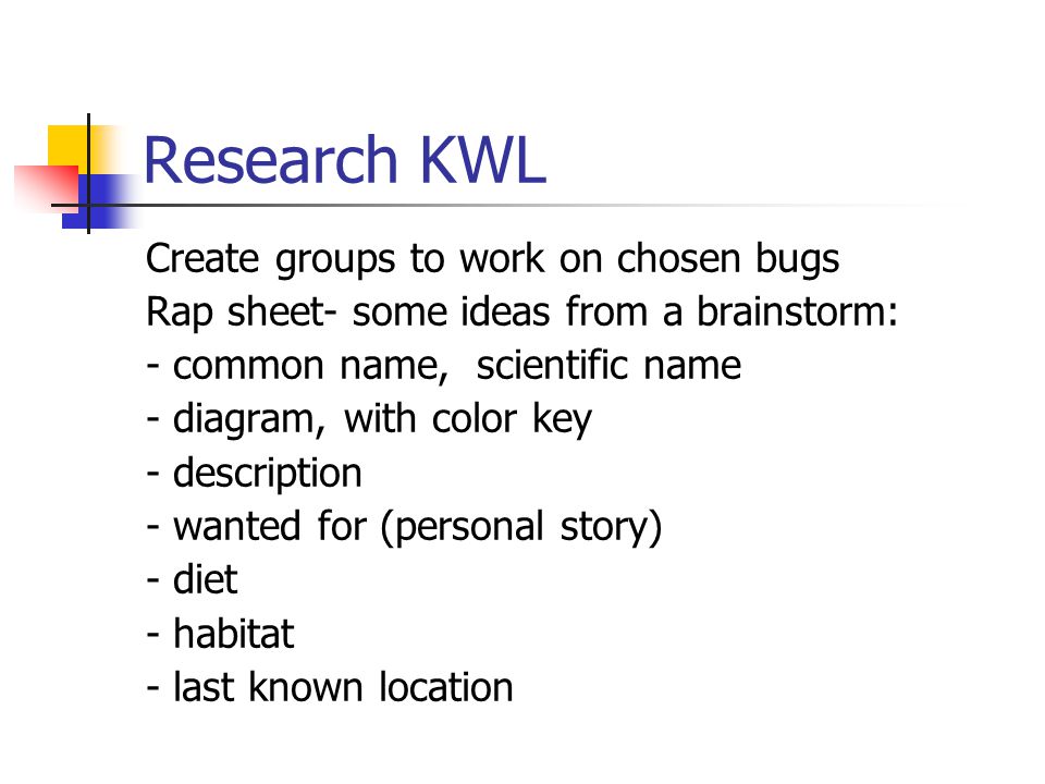 Research KWL Create groups to work on chosen bugs Rap sheet- some ideas from a brainstorm: - common name, scientific name - diagram, with color key - description - wanted for (personal story) - diet - habitat - last known location