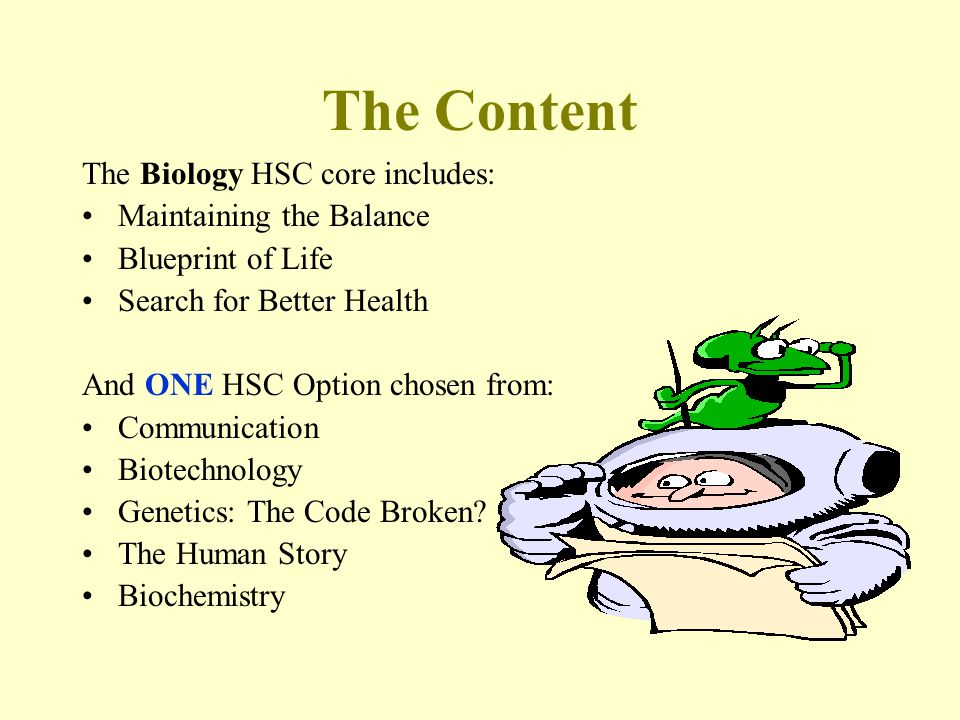 The Content The Biology HSC core includes: Maintaining the Balance Blueprint of Life Search for Better Health And ONE HSC Option chosen from: Communication Biotechnology Genetics: The Code Broken.