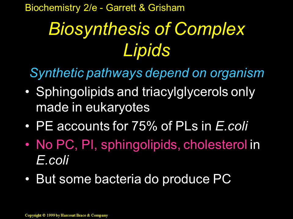 Biochemistry 2/e - Garrett & Grisham Copyright © 1999 by Harcourt Brace & Company Biosynthesis of Complex Lipids Synthetic pathways depend on organism Sphingolipids and triacylglycerols only made in eukaryotes PE accounts for 75% of PLs in E.coli No PC, PI, sphingolipids, cholesterol in E.coli But some bacteria do produce PC