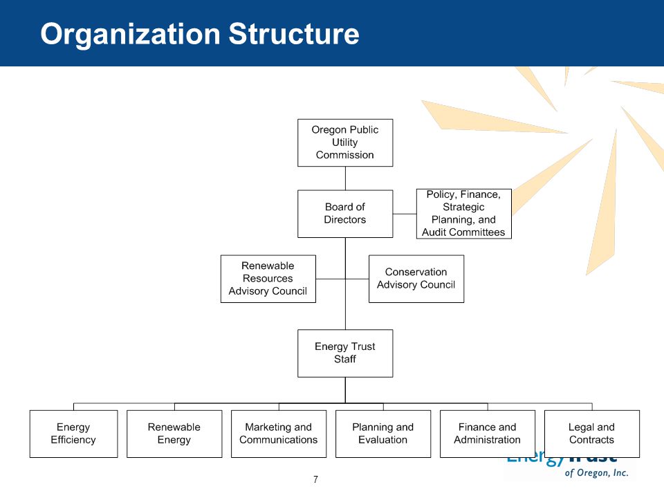7 Organization Structure