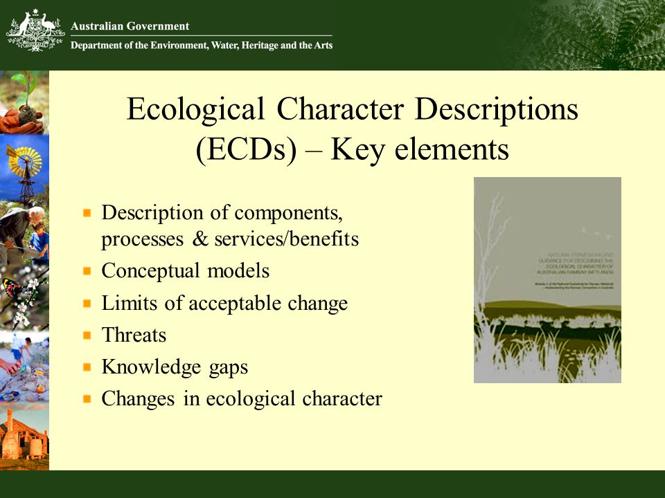 Ecological Character Descriptions (ECDs) – Key elements Description of components, processes & services/benefits Conceptual models Limits of acceptable change Threats Knowledge gaps Changes in ecological character