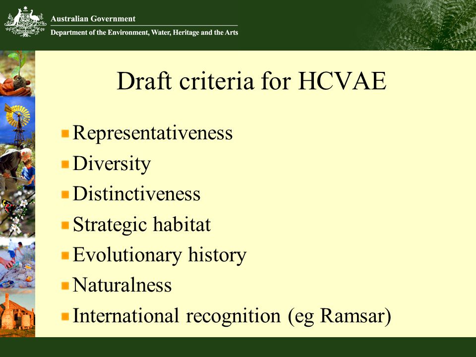 Draft criteria for HCVAE Representativeness Diversity Distinctiveness Strategic habitat Evolutionary history Naturalness International recognition (eg Ramsar)