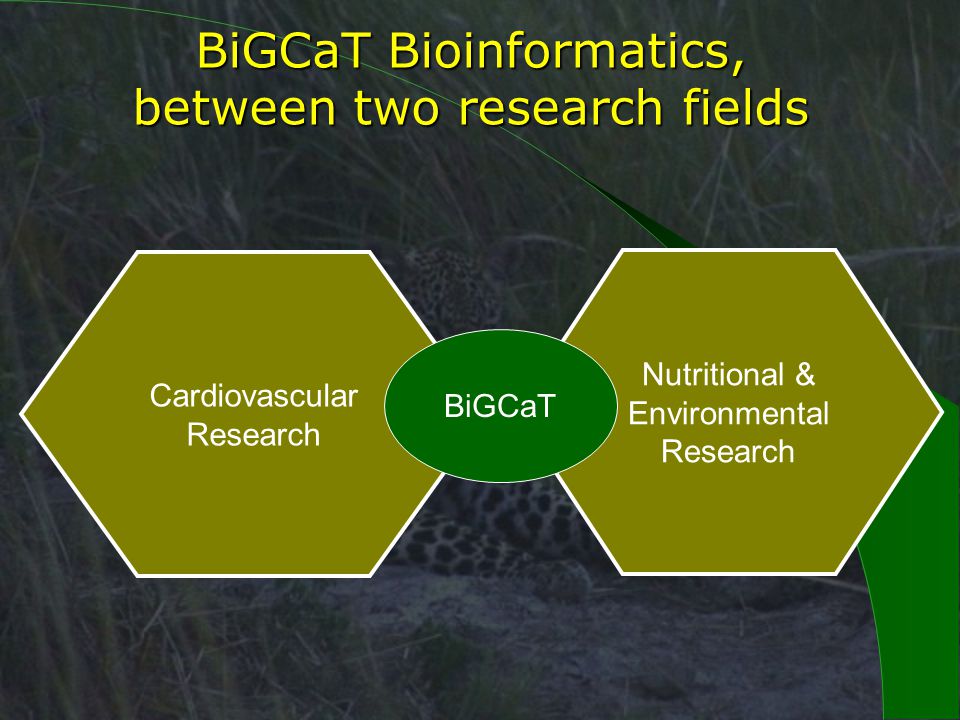 BiGCaT Bioinformatics, between two research fields Cardiovascular Research Nutritional & Environmental Research BiGCaT