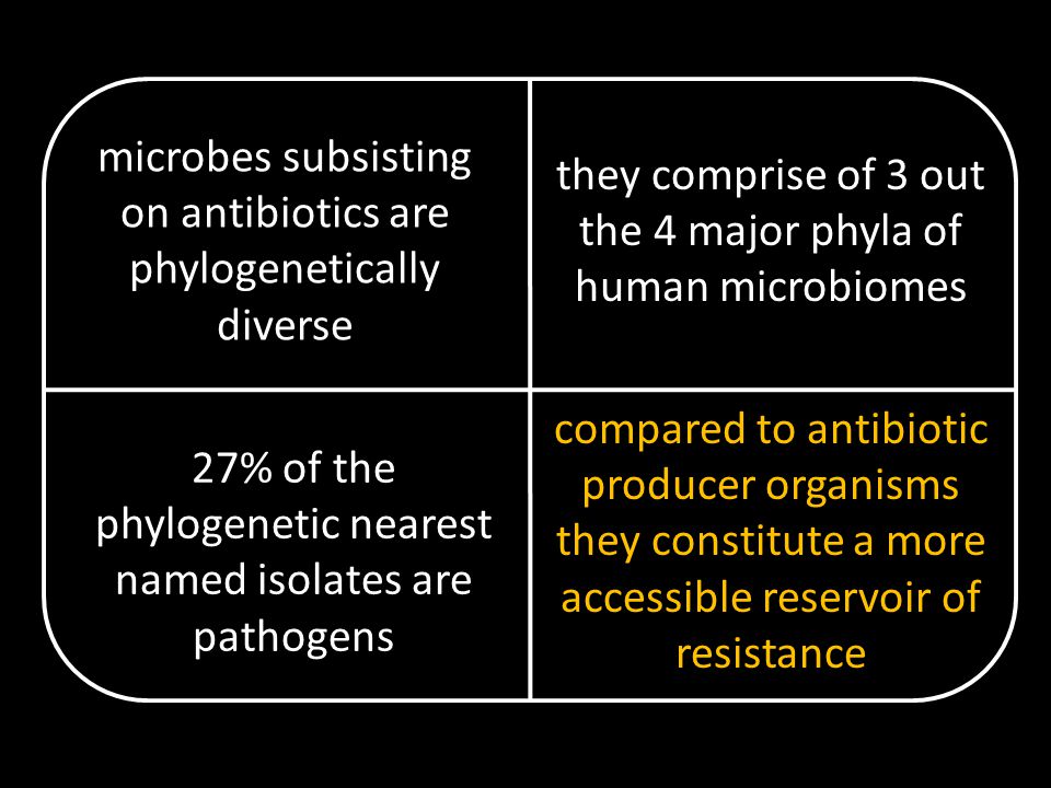 microbes subsisting on antibiotics are phylogenetically diverse they comprise of 3 out the 4 major phyla of human microbiomes 27% of the phylogenetic nearest named isolates are pathogens compared to antibiotic producer organisms they constitute a more accessible reservoir of resistance