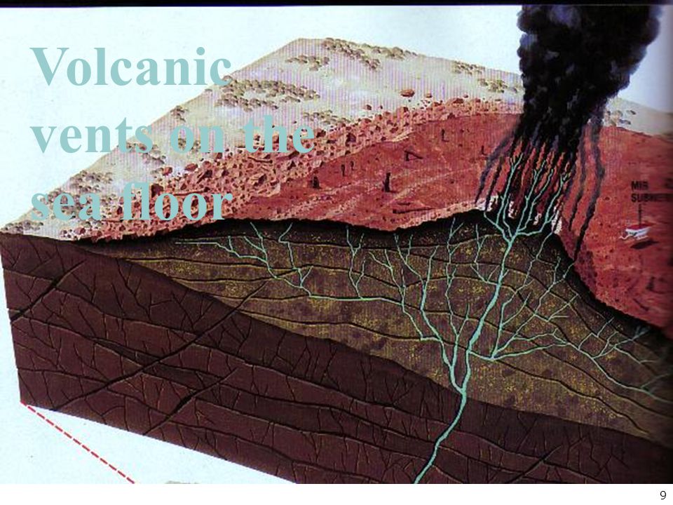 9 Volcanic vents on the sea floor