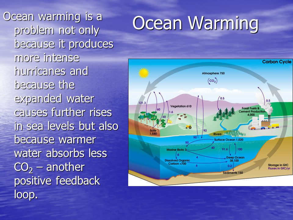 Ocean Warming Ocean warming is a problem not only because it produces more intense hurricanes and because the expanded water causes further rises in sea levels but also because warmer water absorbs less CO 2 – another positive feedback loop.