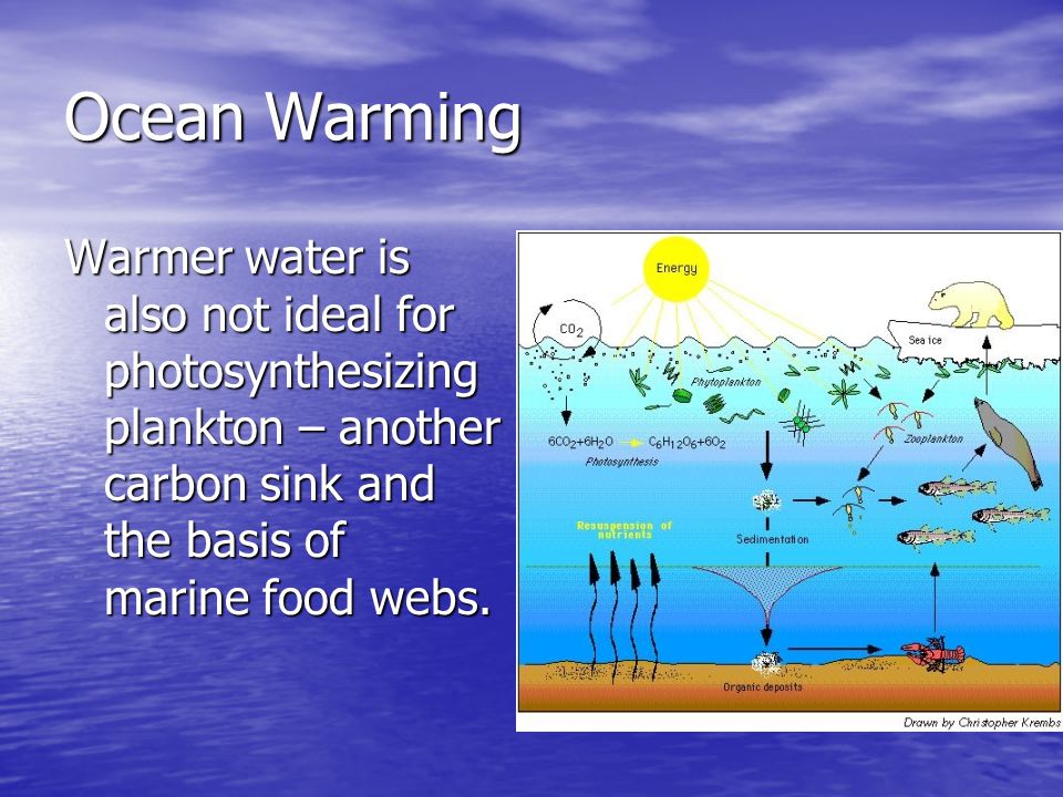 Ocean Warming Warmer water is also not ideal for photosynthesizing plankton – another carbon sink and the basis of marine food webs.