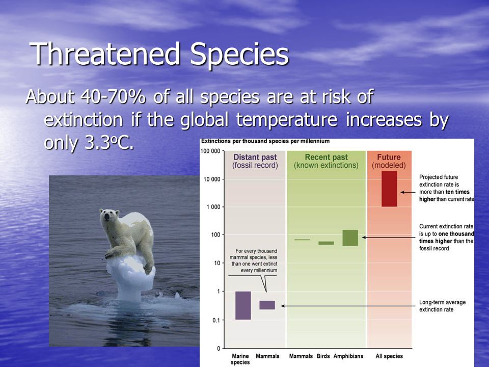Threatened Species About 40-70% of all species are at risk of extinction if the global temperature increases by only 3.3 o C.