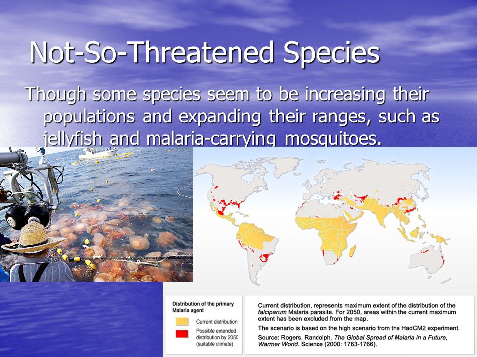 Not-So-Threatened Species Though some species seem to be increasing their populations and expanding their ranges, such as jellyfish and malaria-carrying mosquitoes.