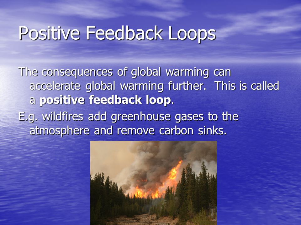 Positive Feedback Loops The consequences of global warming can accelerate global warming further.