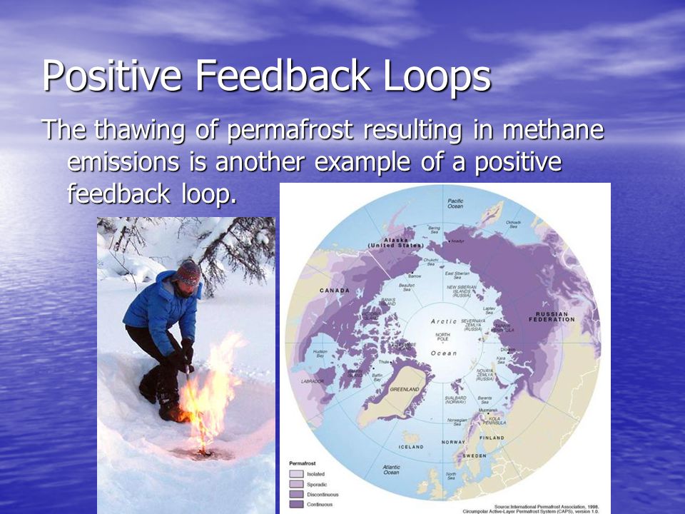 Positive Feedback Loops The thawing of permafrost resulting in methane emissions is another example of a positive feedback loop.