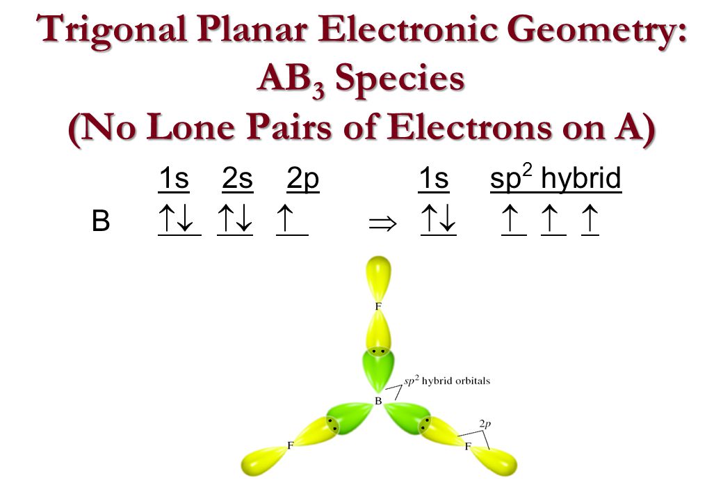 Trigonal Planar Electronic Geometry: AB 3 Species (No Lone Pairs of Electrons on A) 1s 2s 2p B  1s sp 2 hybrid  