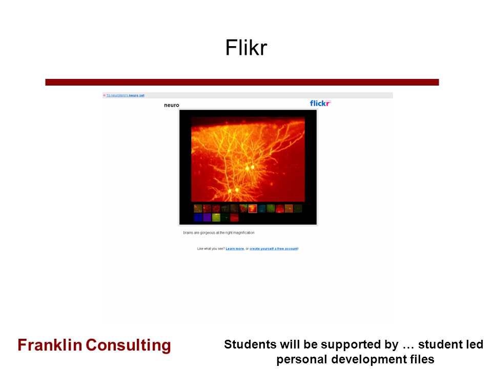 Franklin Consulting Wikis Programmes will be relevant to business and the professions