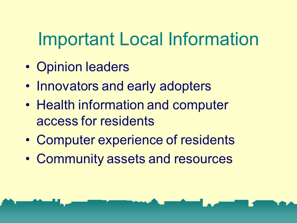 Important Local Information Opinion leaders Innovators and early adopters Health information and computer access for residents Computer experience of residents Community assets and resources