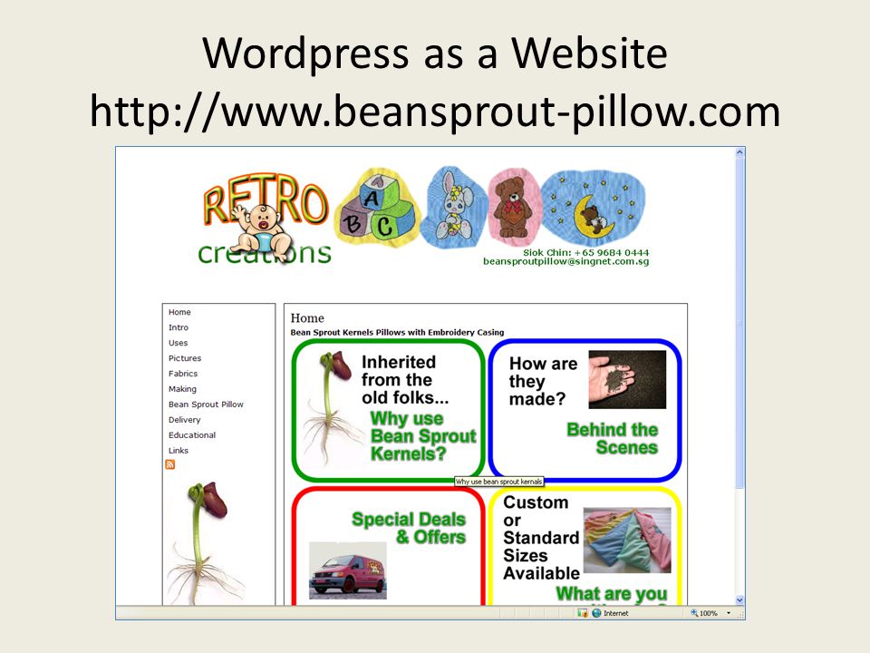 Wordpress as a Website