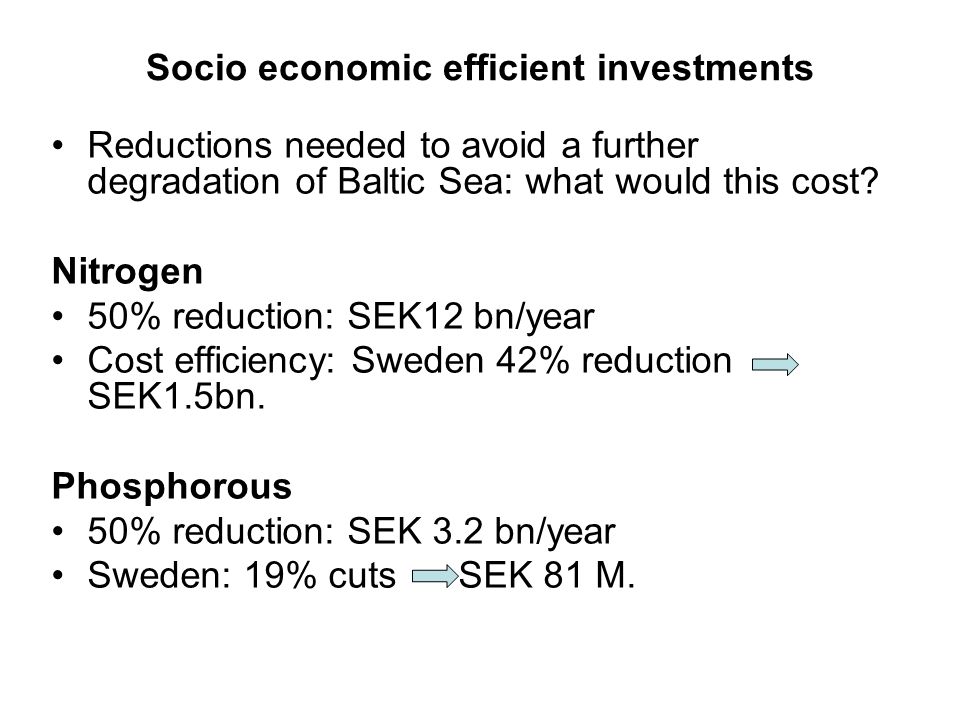 Socio economic efficient investments Reductions needed to avoid a further degradation of Baltic Sea: what would this cost.