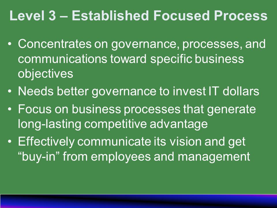 Level 3 – Established Focused Process Concentrates on governance, processes, and communications toward specific business objectives Needs better governance to invest IT dollars Focus on business processes that generate long-lasting competitive advantage Effectively communicate its vision and get buy-in from employees and management
