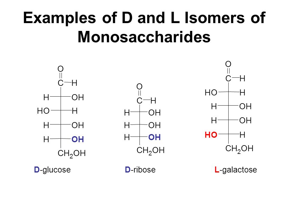 Examples of D and L Isomers of Monosaccharides D-glucose D-ribose L-galactose