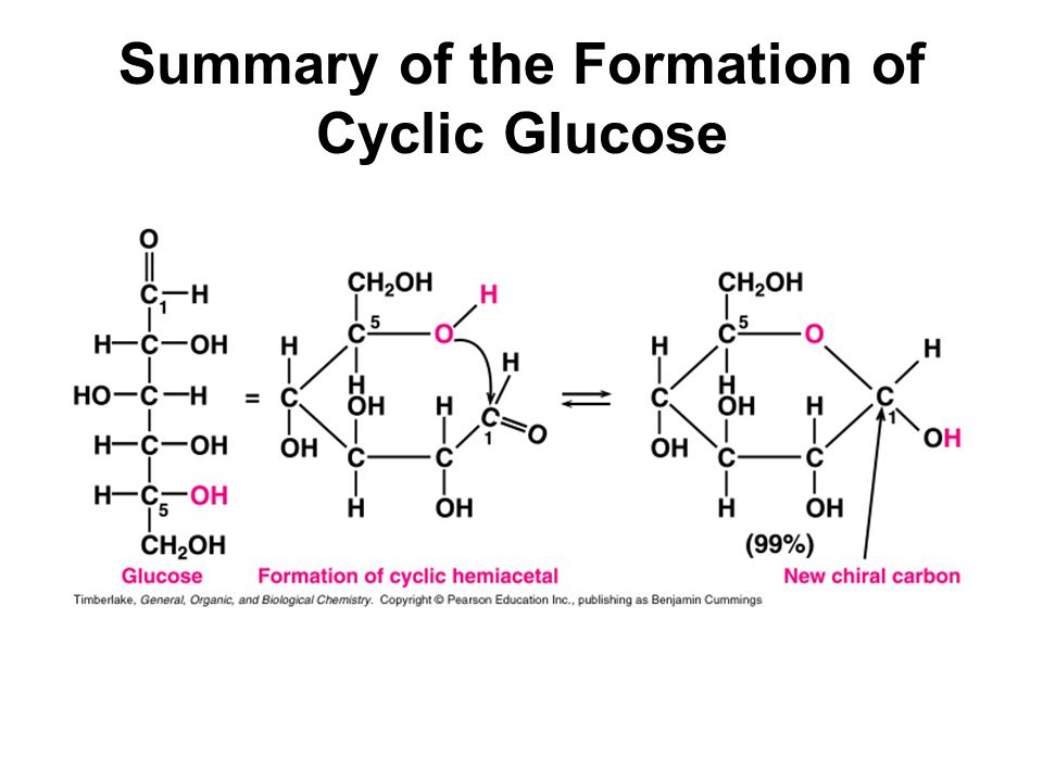 Summary of the Formation of Cyclic Glucose