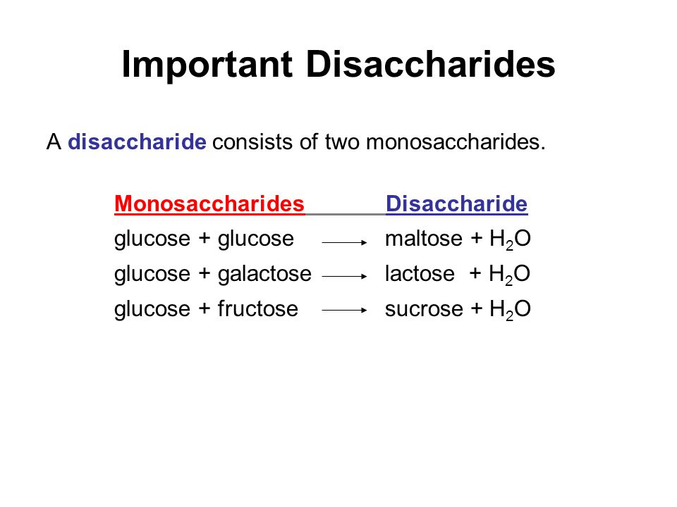 Important Disaccharides A disaccharide consists of two monosaccharides.